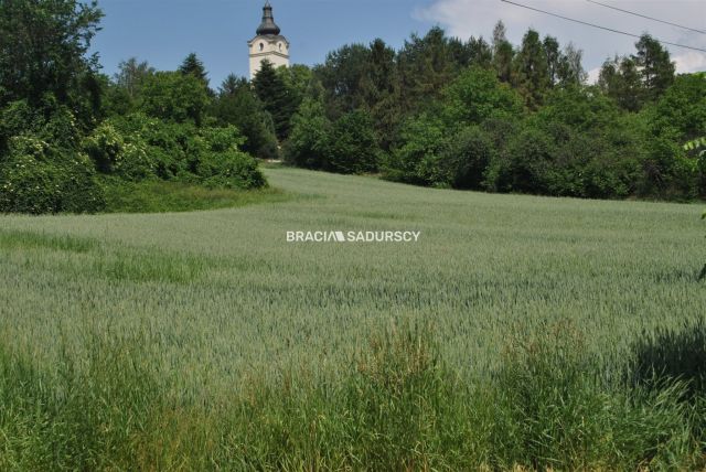 Działka inwestycyjna Brzezie. Zdjęcie 3