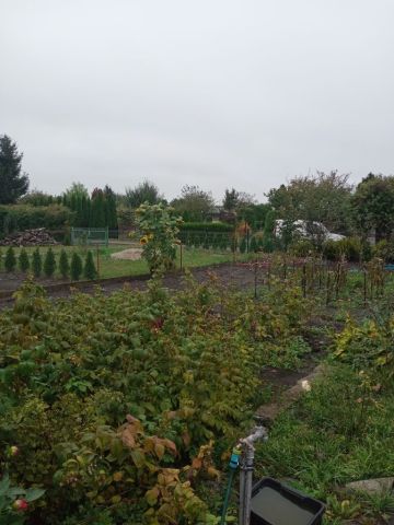 Działka rekreacyjna Bydgoszcz, ul. gen. Władysława Sikorskiego. Zdjęcie 1