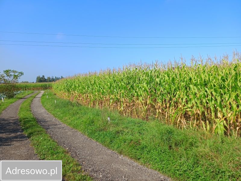 Działka budowlana Inwałd, ul. Zamkowa. Zdjęcie 6