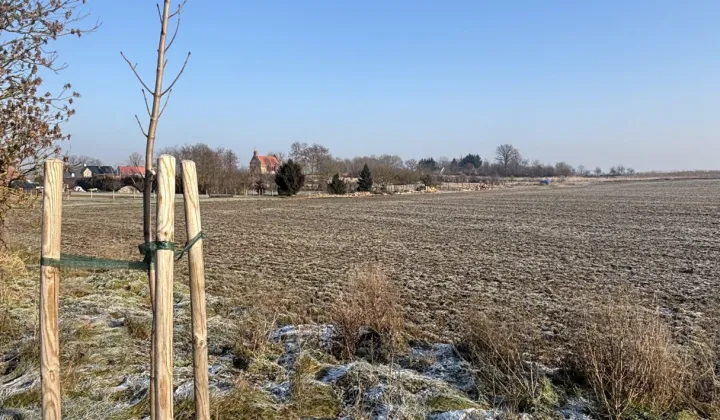 Działka budowlana Dołgie