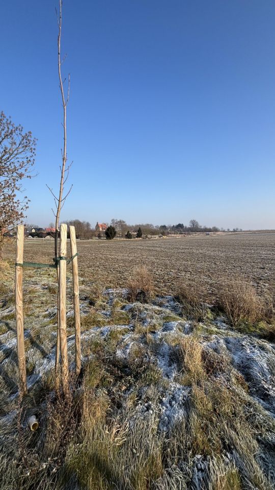 Działka budowlana Dołgie. Zdjęcie 1