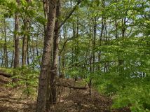 Działka rekreacyjna Jeleń. Zdjęcie 4