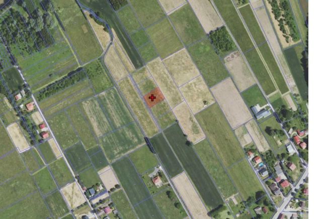 Działka rolno-budowlana Siedliska. Zdjęcie 5