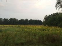 Działka budowlana Paproć. Zdjęcie 2