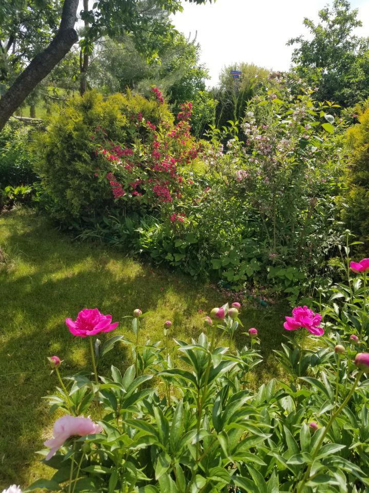 Działka rod Warszawa Ochota, ul. Wirażowa. Zdjęcie 7