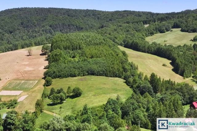 Działka budowlana Stężnica. Zdjęcie 4