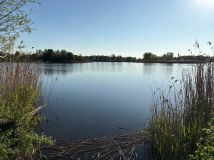 Działka rekreacyjna Nowa Wieś Mała. Zdjęcie 1