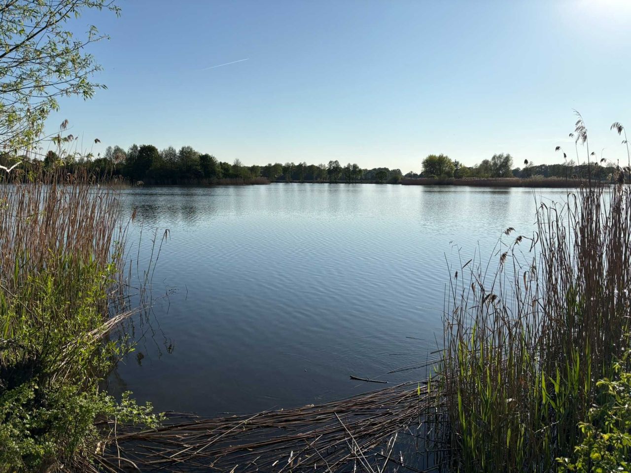 Działka rekreacyjna Nowa Wieś Mała. Zdjęcie 2