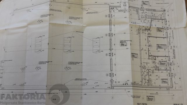 Lokal Szczecin. Zdjęcie 4