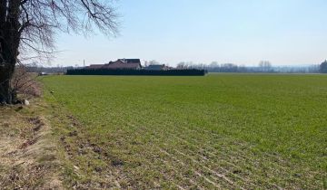 Działka budowlana Kotla, ul. Kwiatowa