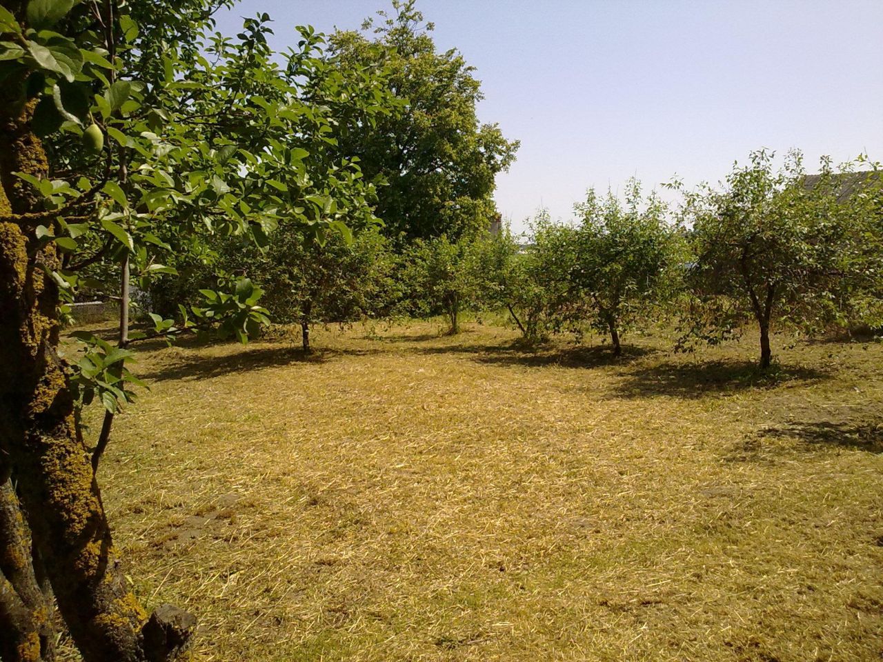 dom wolnostojący, 4 pokoje Kosiły. Zdjęcie 3