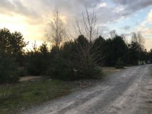 Działka budowlana Stok Lacki-Folwark, ul. Sosnowa. Zdjęcie 1