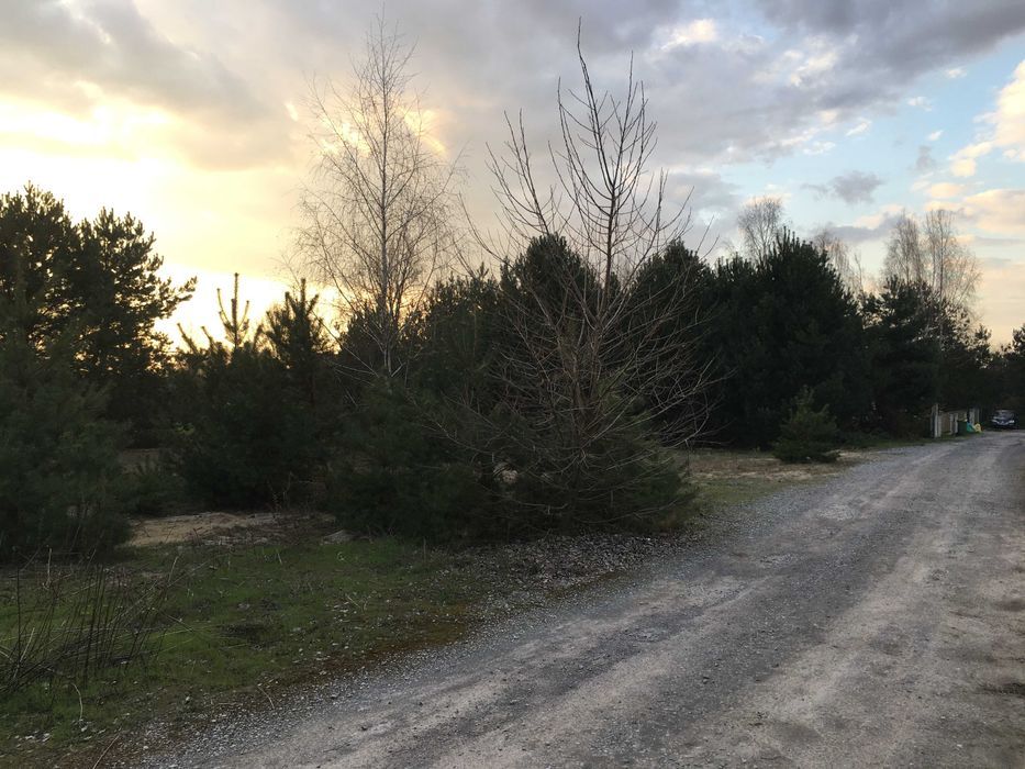 Działka budowlana Stok Lacki-Folwark, ul. Sosnowa. Zdjęcie 2