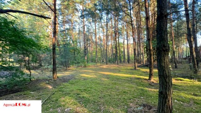 Działka budowlana Marynin. Zdjęcie 7