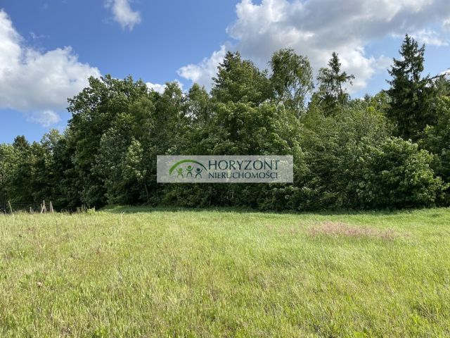 Działka budowlana Banino. Zdjęcie 9