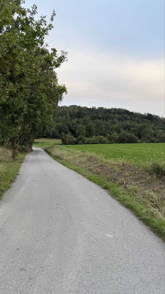 Działka rolna Barwałd Dolny. Zdjęcie 3