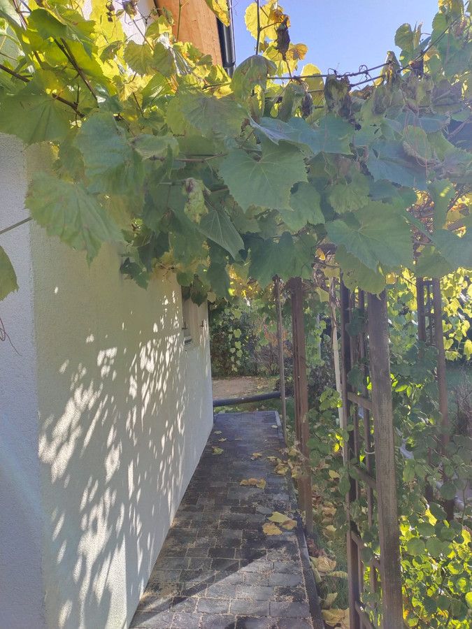 Działka rod Gdańsk Olszynka, ul. Goździkowa. Zdjęcie 19