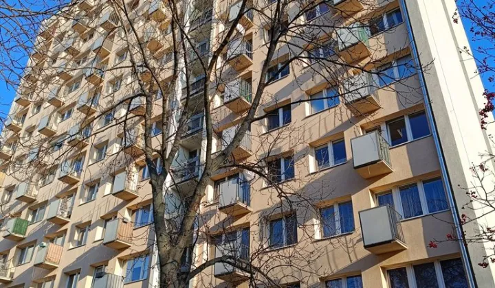 Mieszkanie 2-pokojowe Warszawa Górny Mokotów, ul. Wojciecha Żywnego