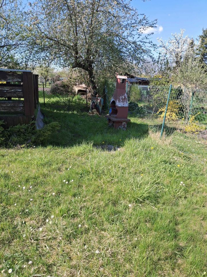 Działka rod Balin. Zdjęcie 8