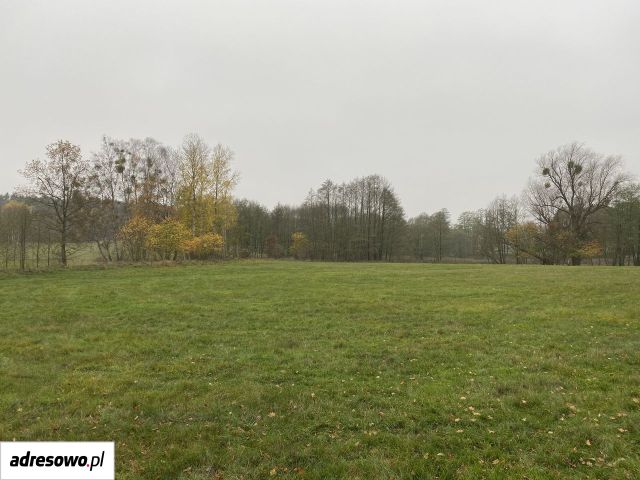 Działka budowlana Mosina. Zdjęcie 1