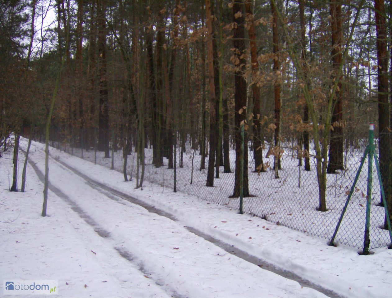 Działka inwestycyjna Adamów-Wieś, ul. Puszczyka. Zdjęcie 7