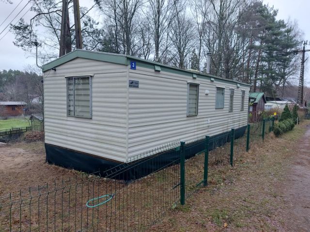 Działka leśna Borsk. Zdjęcie 1