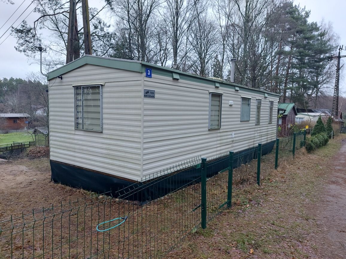 Działka leśna Borsk