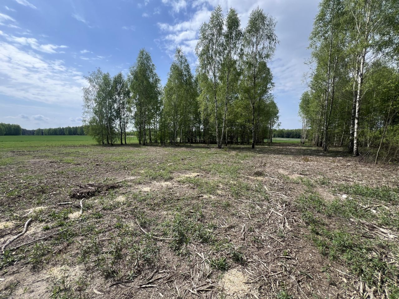 Działka budowlana Mlęcin. Zdjęcie 4