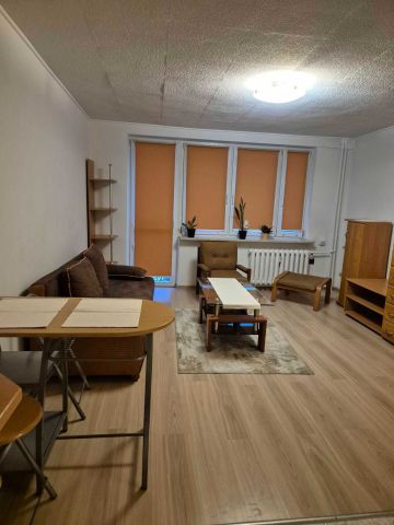 Mieszkanie 1-pokojowe Nowy Dwór Mazowiecki. Zdjęcie 1