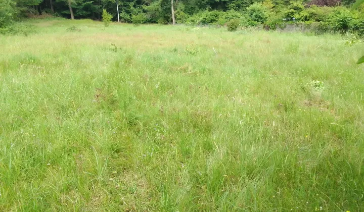 Działka rekreacyjna Siemiany