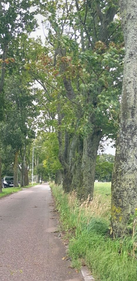 Działka budowlana Frombork, ul. Osiedle Słoneczne. Zdjęcie 7