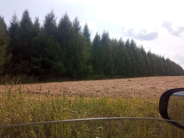 Działka leśna Kańczuga, ul. Leona Grzebyka. Zdjęcie 1