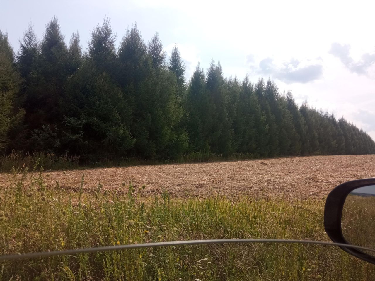 Działka leśna Kańczuga, ul. Leona Grzebyka