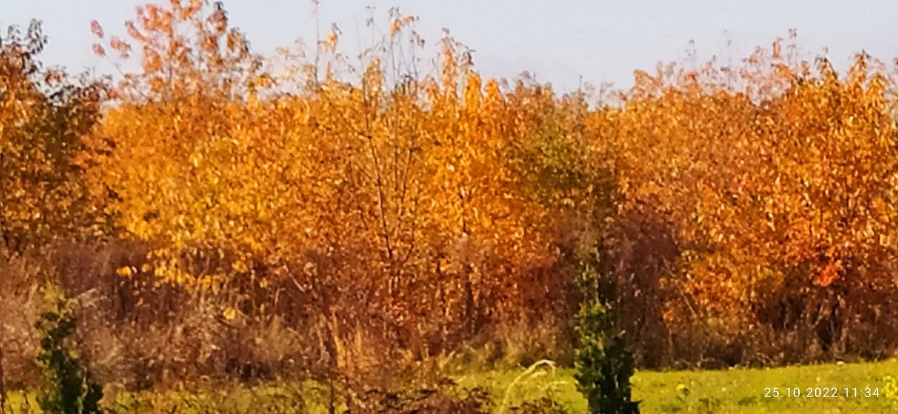 Działka budowlana Radomsko. Zdjęcie 2