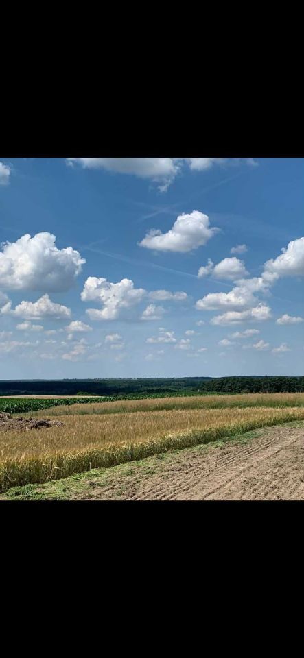 Działka inwestycyjna Gorczenica. Zdjęcie 3