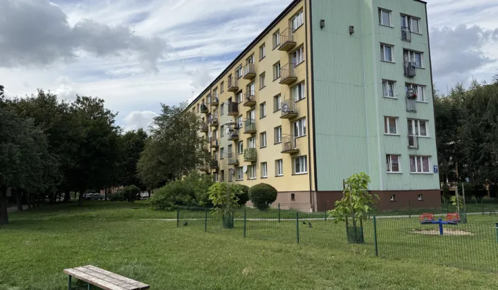 Mieszkanie 1-pokojowe Pułtusk, al. Tysiąclecia