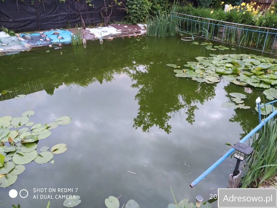 Działka rod Częstochowa Zawodzie, ul. Olsztyńska. Zdjęcie 6