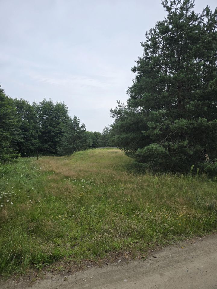 Działka budowlana Rolbik. Zdjęcie 7