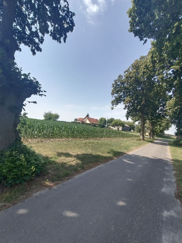 Działka budowlana Ławki. Zdjęcie 8