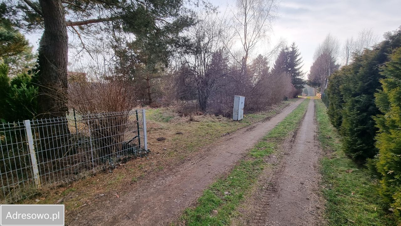 Działka rekreacyjna Dominikowo, ul. Leśna Polana. Zdjęcie 5