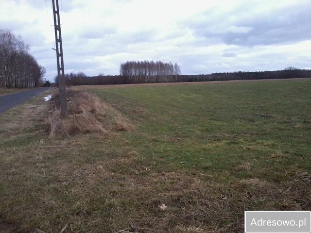Działka rolno-budowlana Rejowiec Fabryczny, ul. Gabriela Narutowicza. Zdjęcie 2