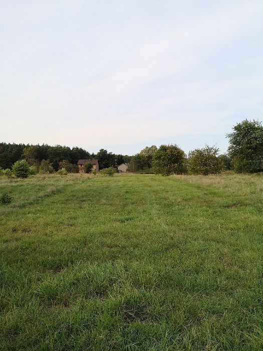 Działka rolno-budowlana Lipowo. Zdjęcie 3