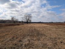 Działka inwestycyjna Turowice. Zdjęcie 3