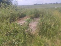 Działka rod Nowy Dwór Gdański. Zdjęcie 4