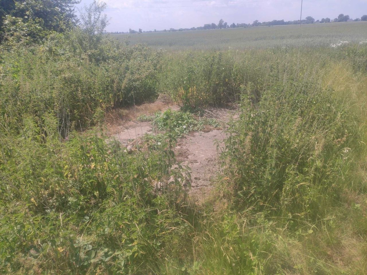 Działka rod Nowy Dwór Gdański. Zdjęcie 5