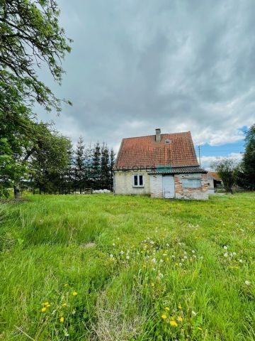 dom wolnostojący, 2 pokoje Zalesie. Zdjęcie 9