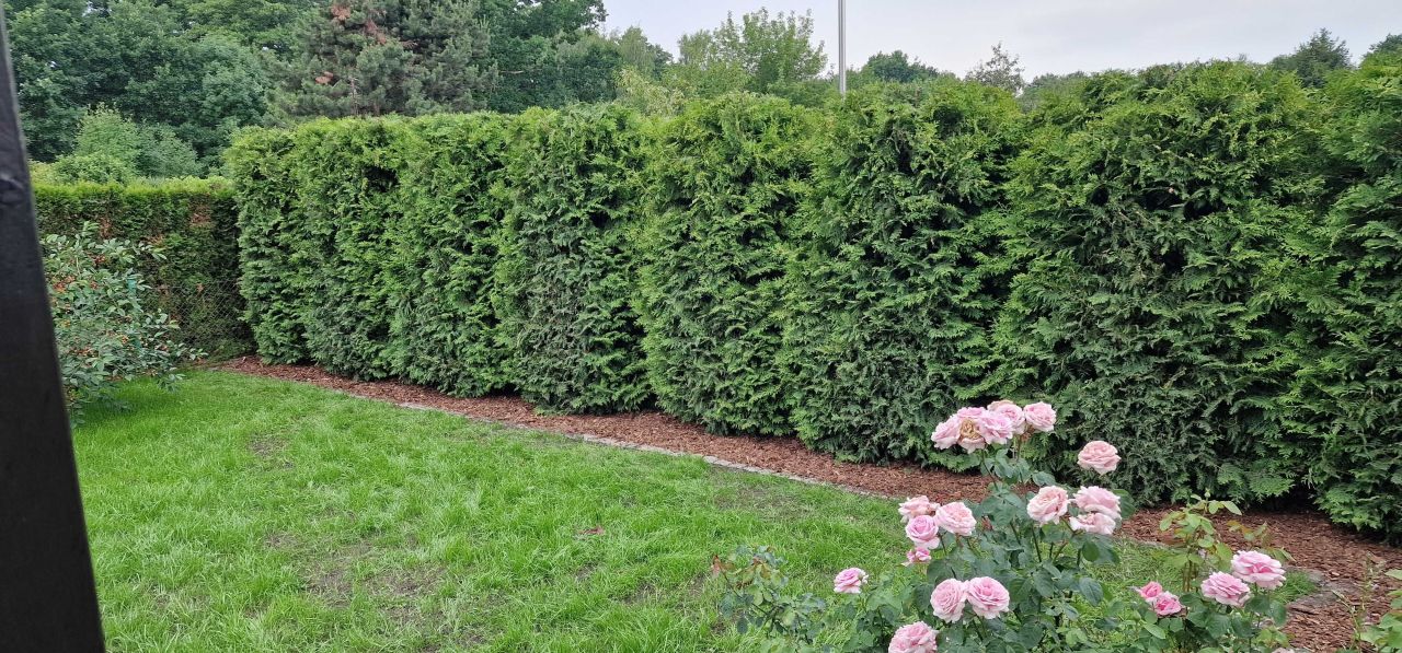 Działka rod Toruń Rudak. Zdjęcie 8