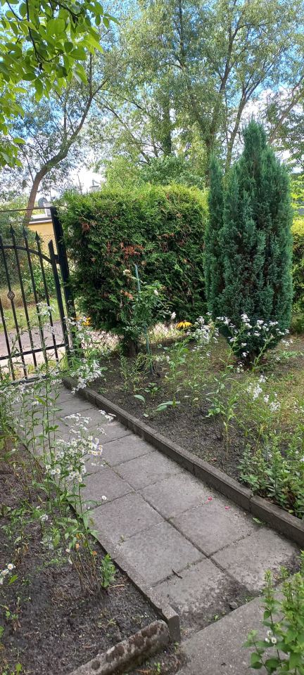 Działka rod Zabrze, ul. Botaniczna. Zdjęcie 1