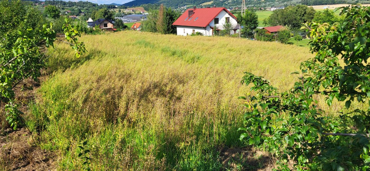 Działka budowlana Łososina Dolna. Zdjęcie 2