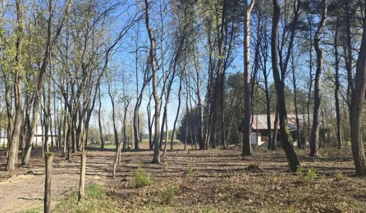 Działka budowlana Wołomin Mironowe Górki